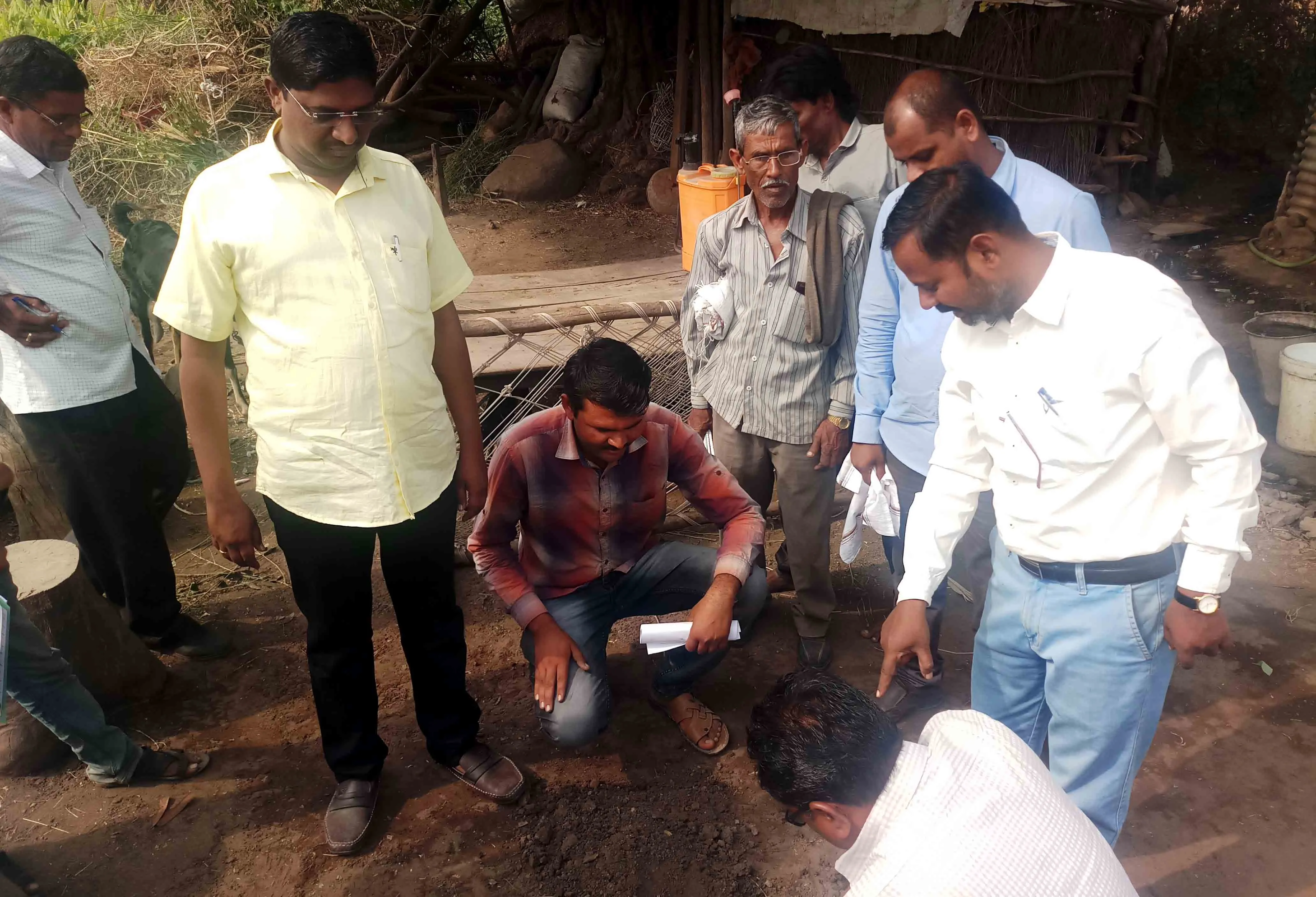 Water quality analysis