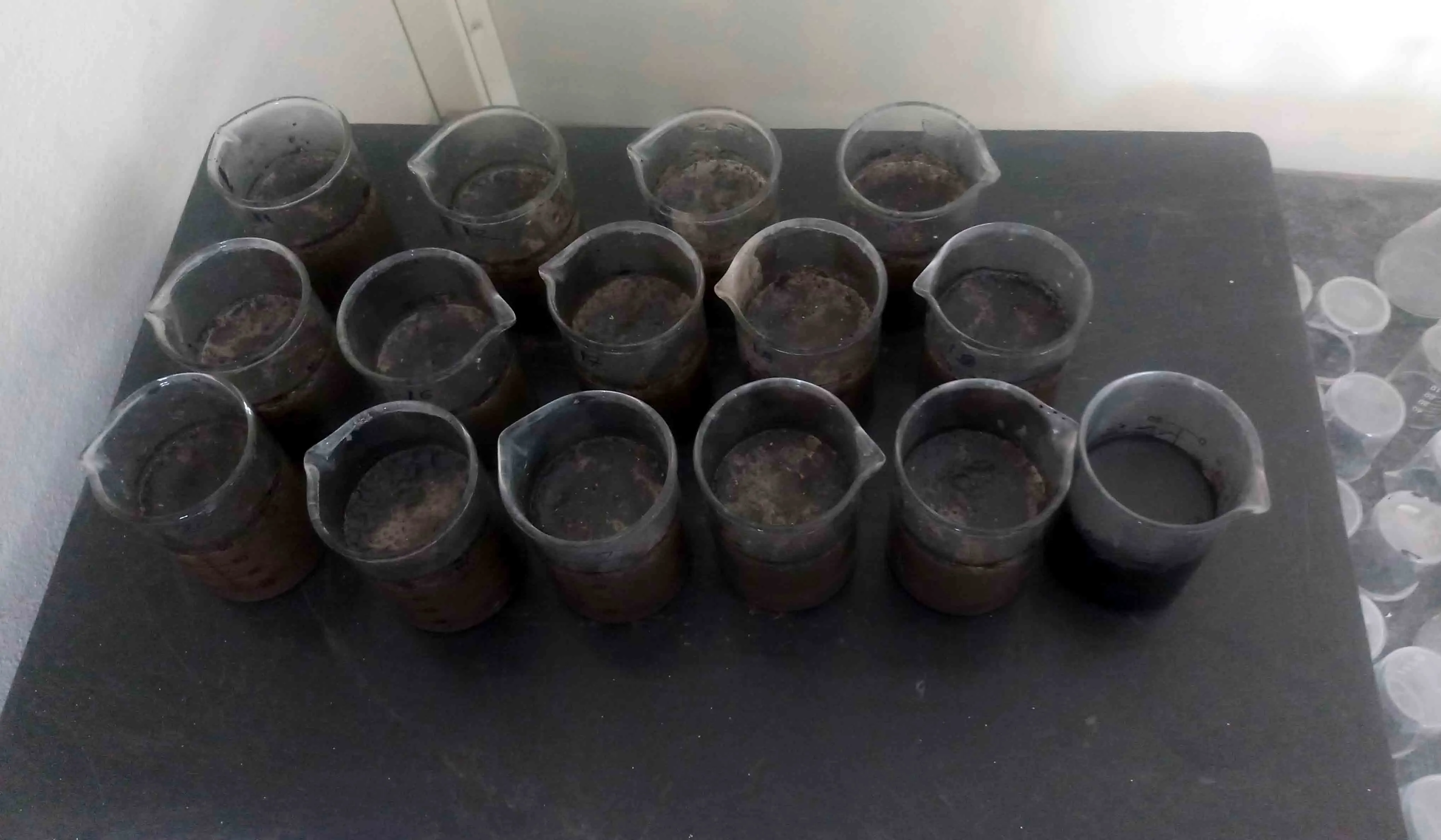 Sample preparation area